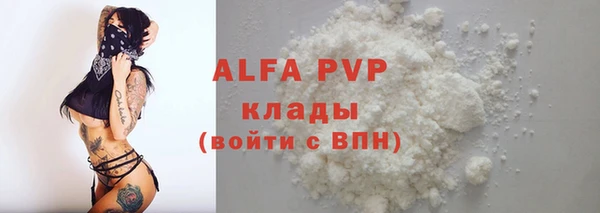 СК Покачи